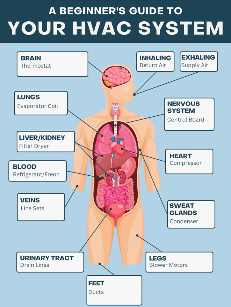 How Does Your Home’s HVAC System Actually Work?